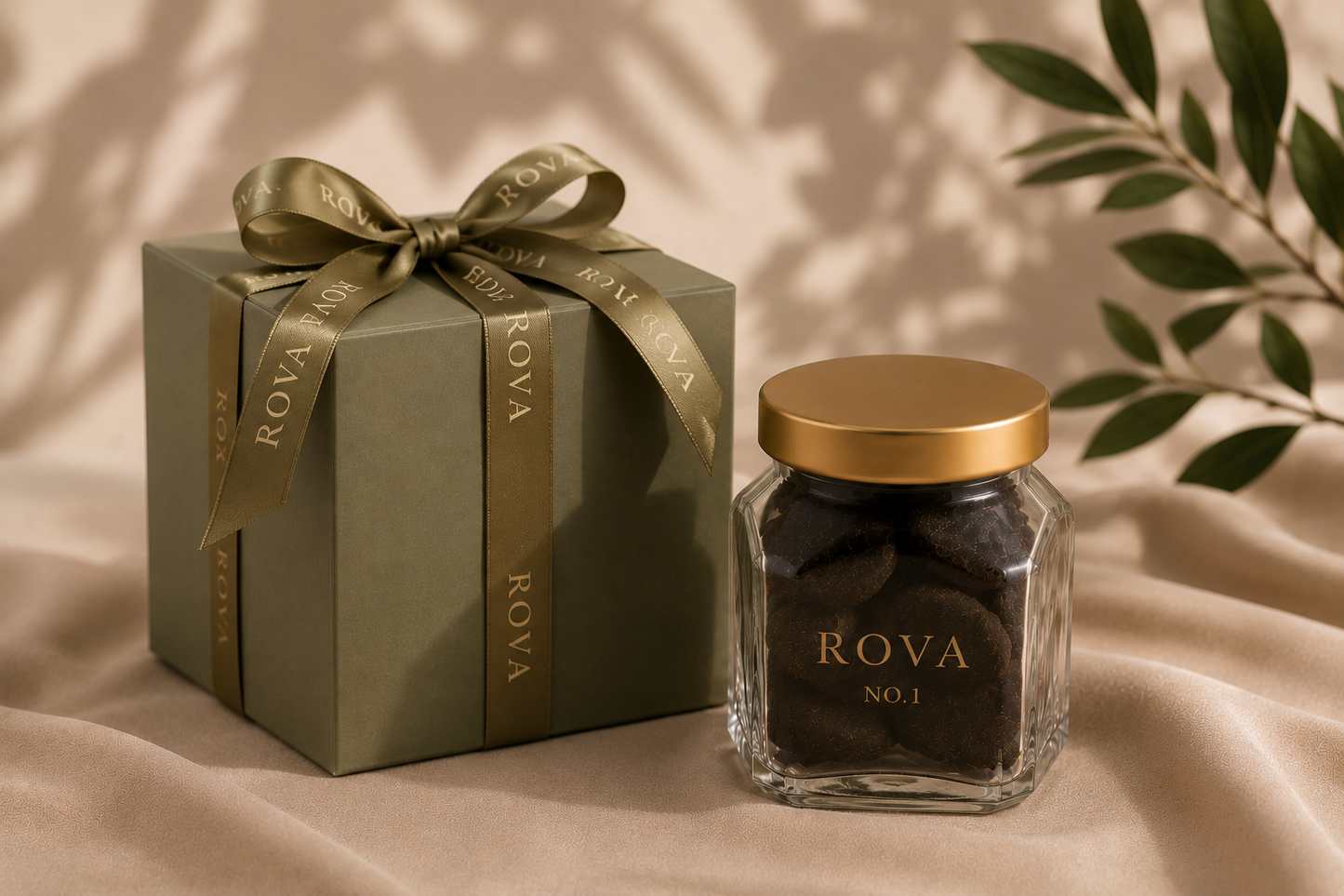 ROVA NO.1
